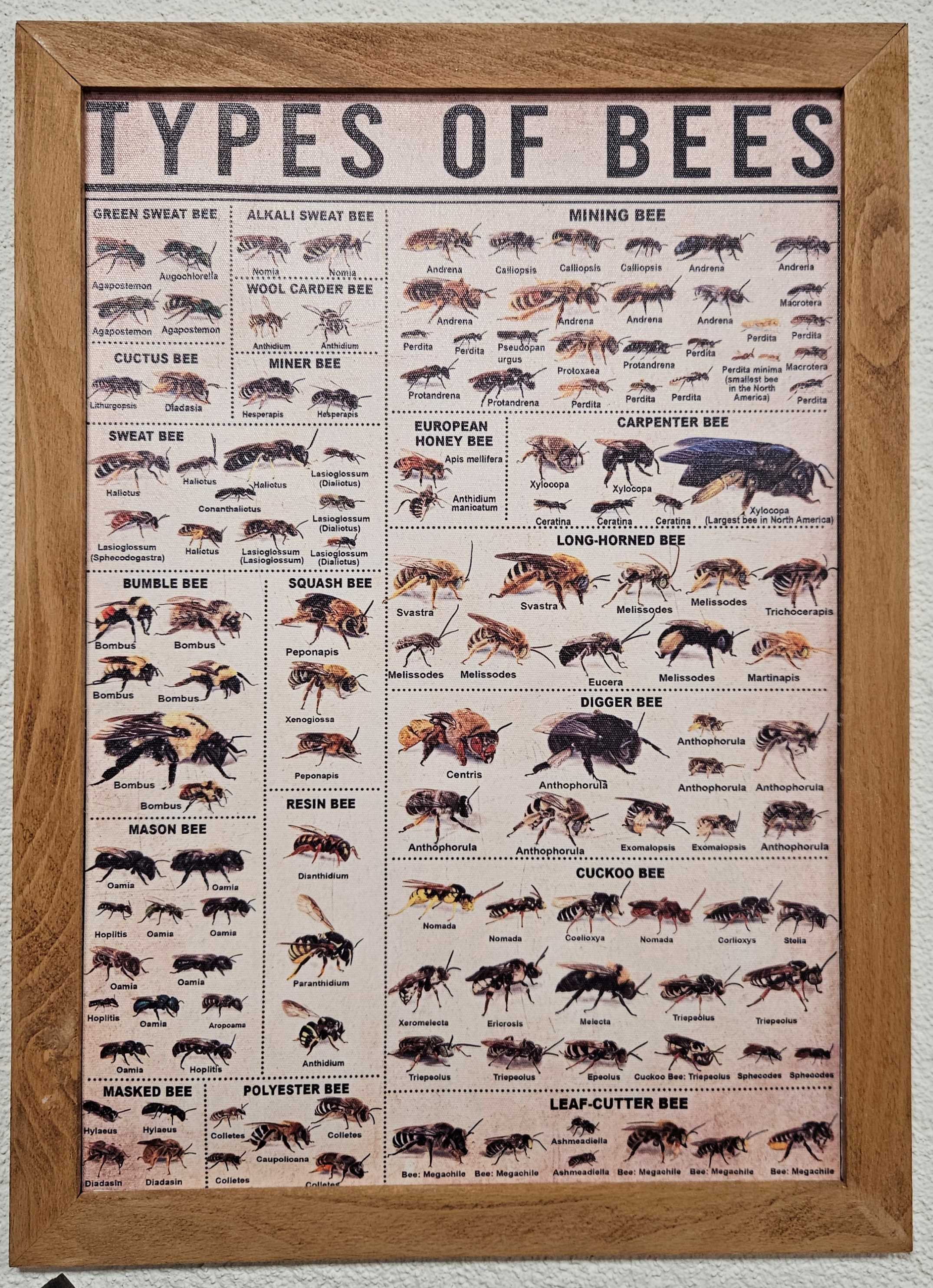 050_V hostinci v Rudne