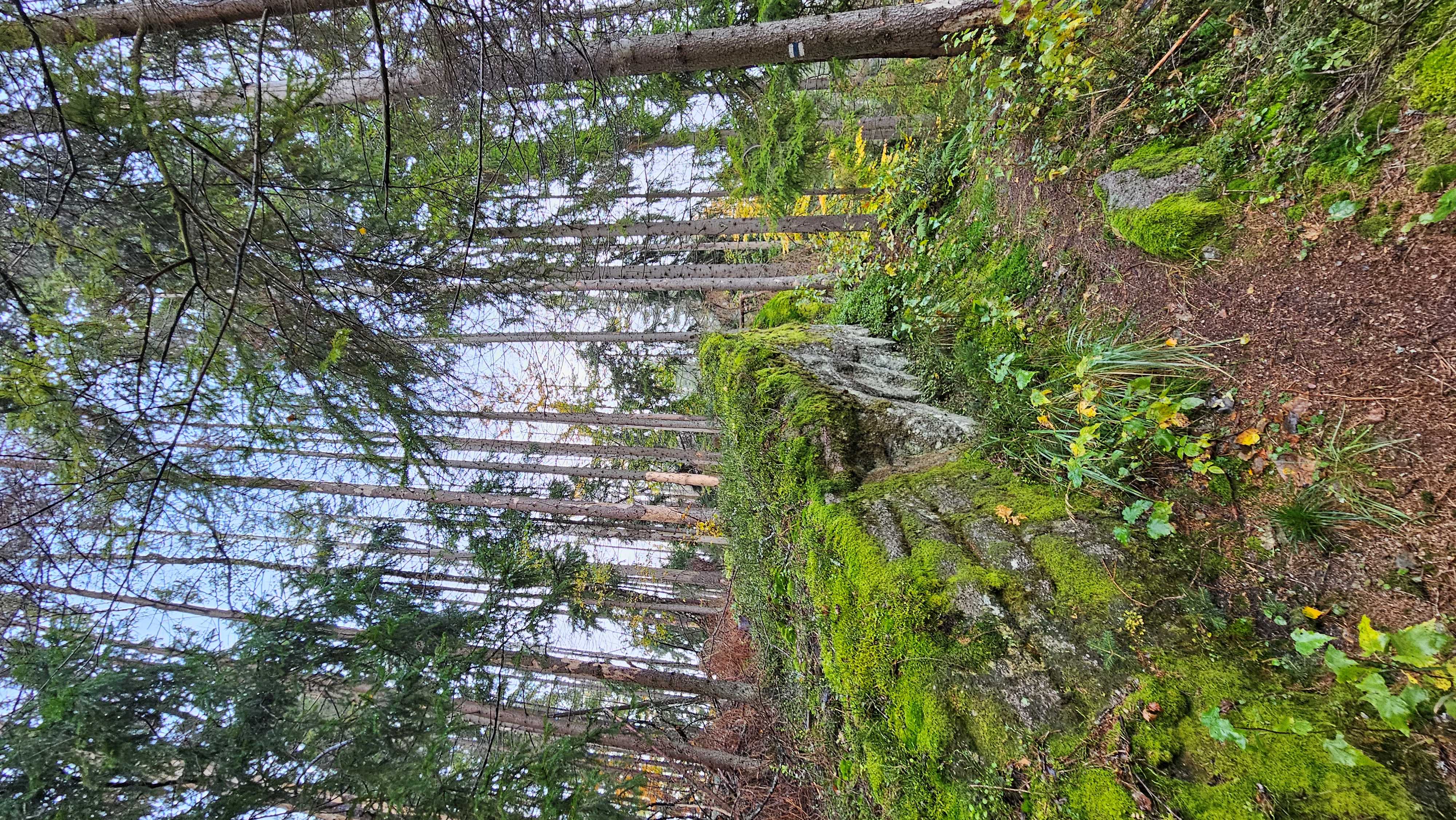 008_Klokočovské skálie