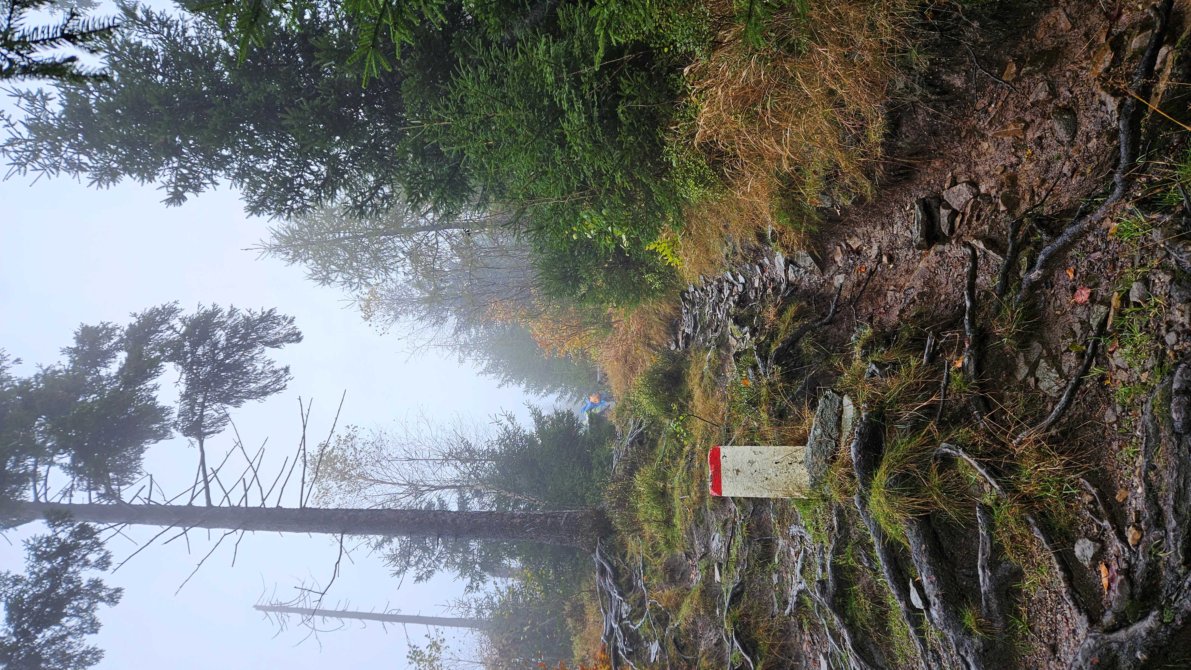 028_Stúpanie na Veľký Polom