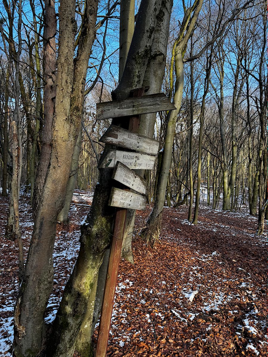 009_smerovník pri Bukovinskej skale