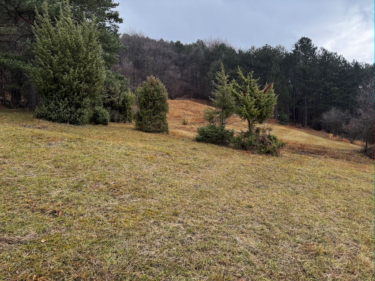 020_lúky nad Omšením