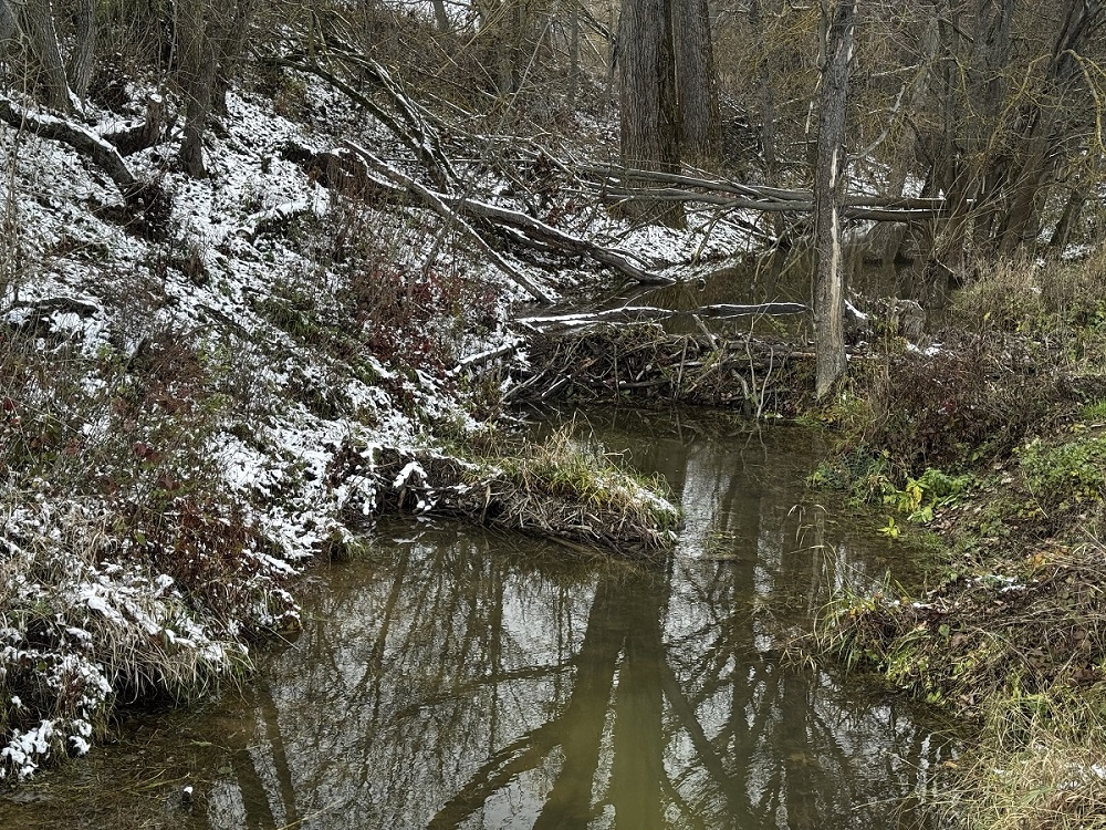 013_Svacenicky jarok 