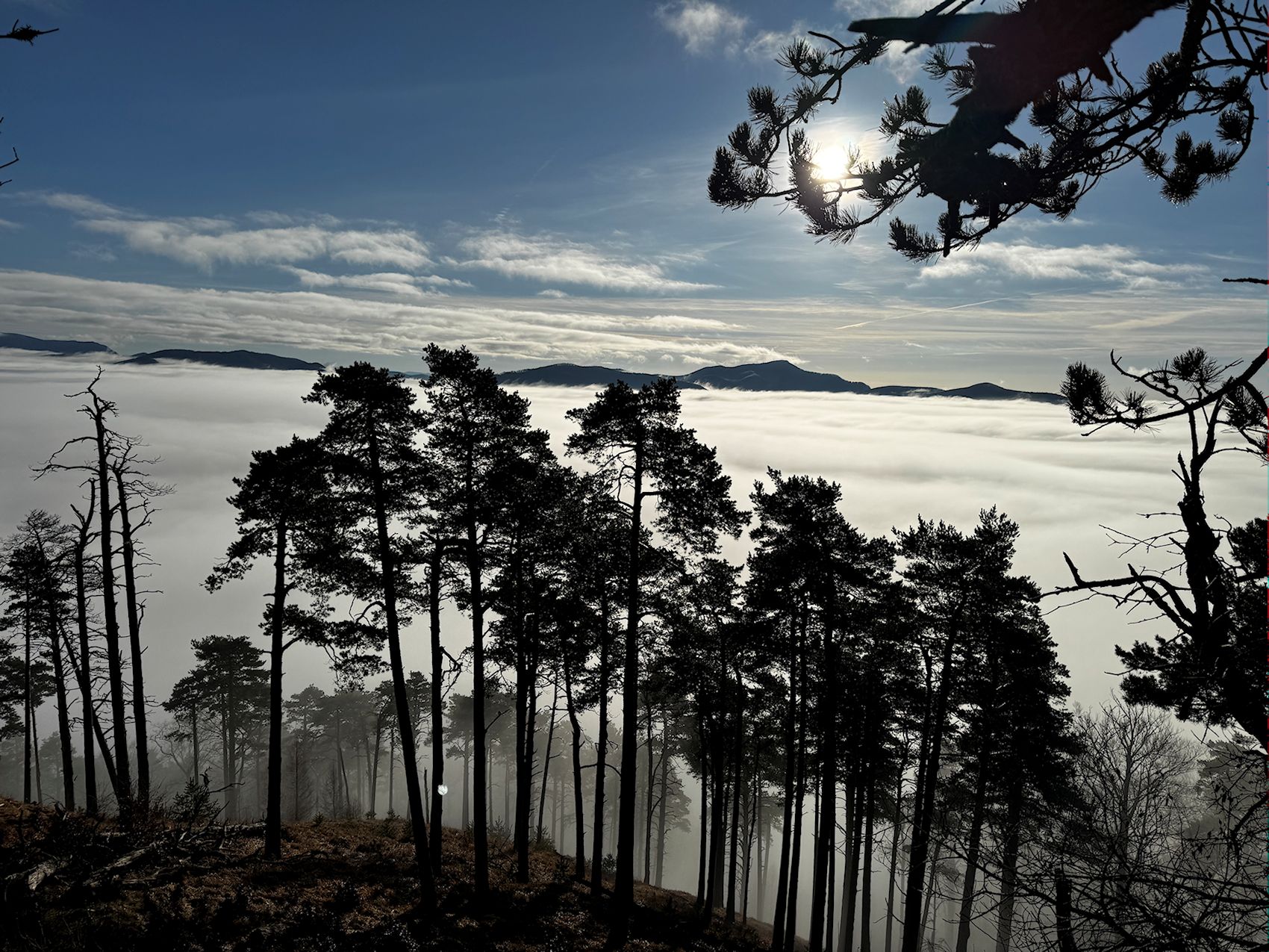 035_pohľad z Málenice na Strážov