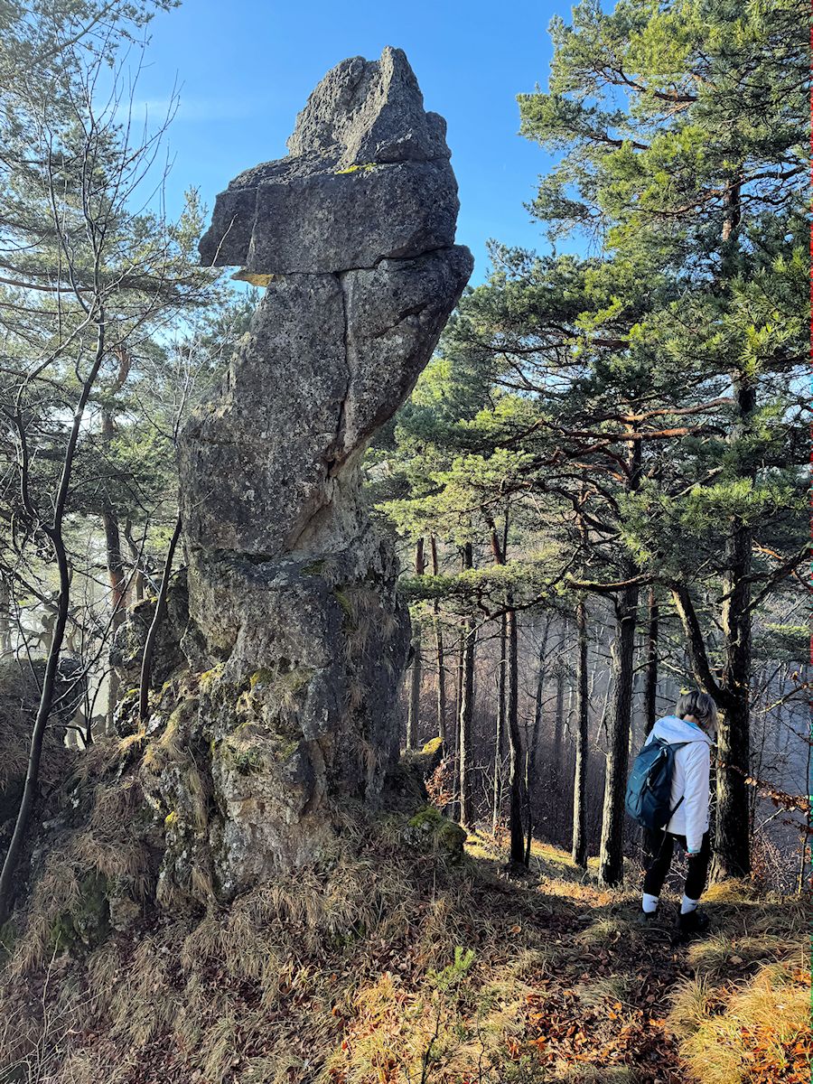 036_skolak na hrebeni Málenice