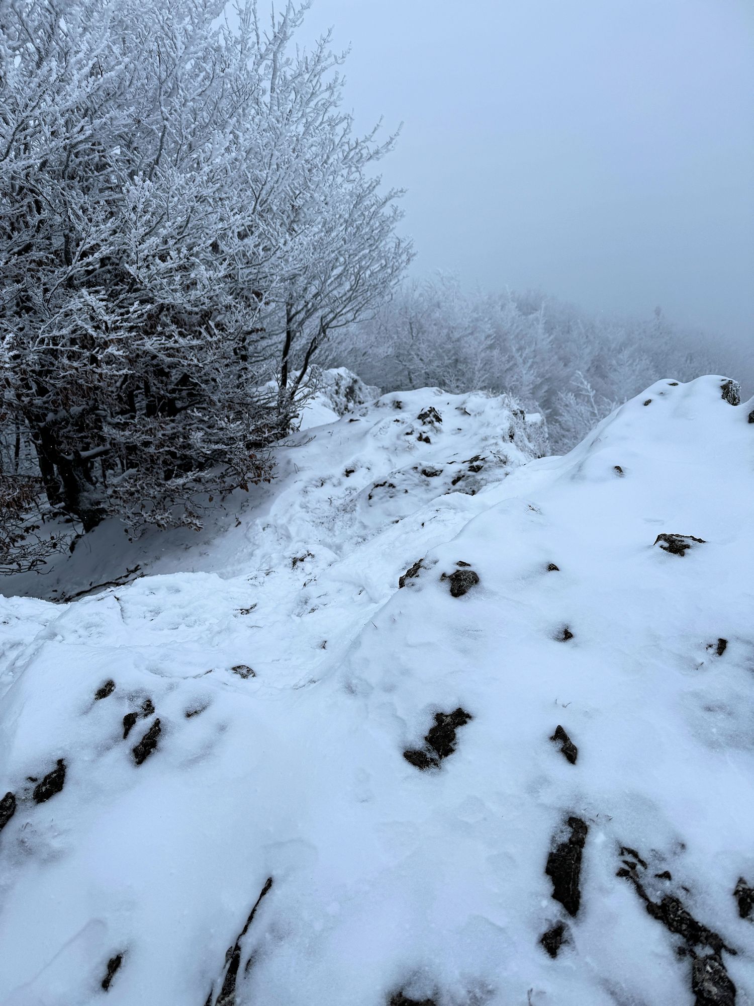 011_vrcholový hrebienok je dlhý_ledva mu vidieť koniec