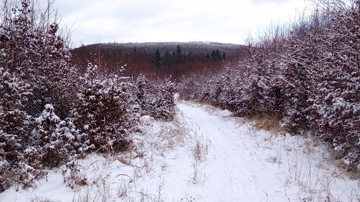 06_zostup z Grofovca