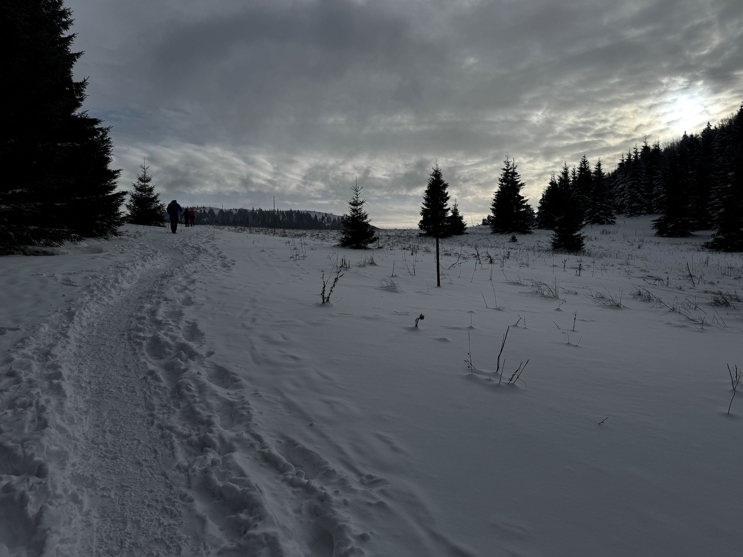 002_pod sedlom Medziholie