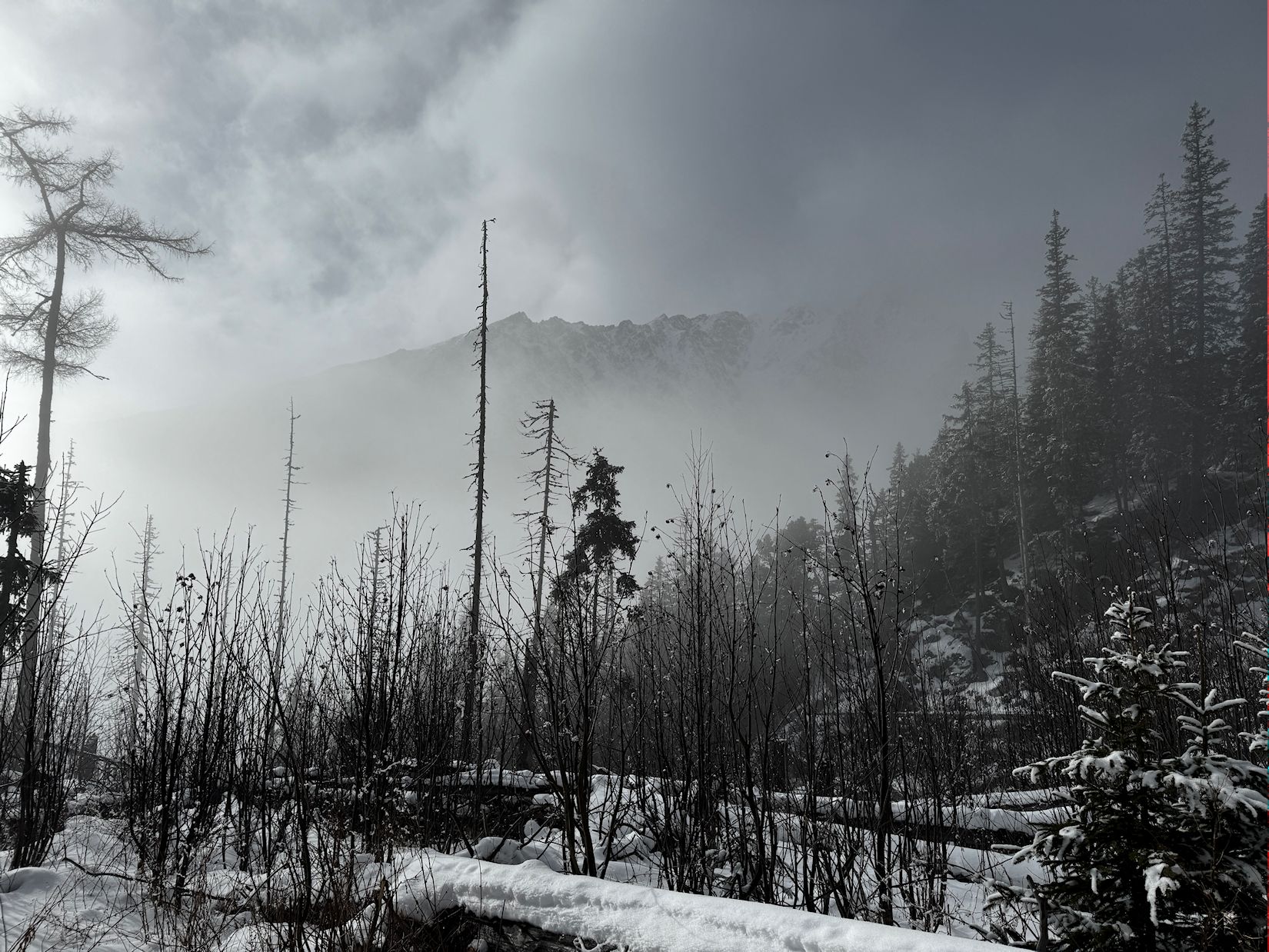 025_objavili sa aj Tatry_aspoň Nos