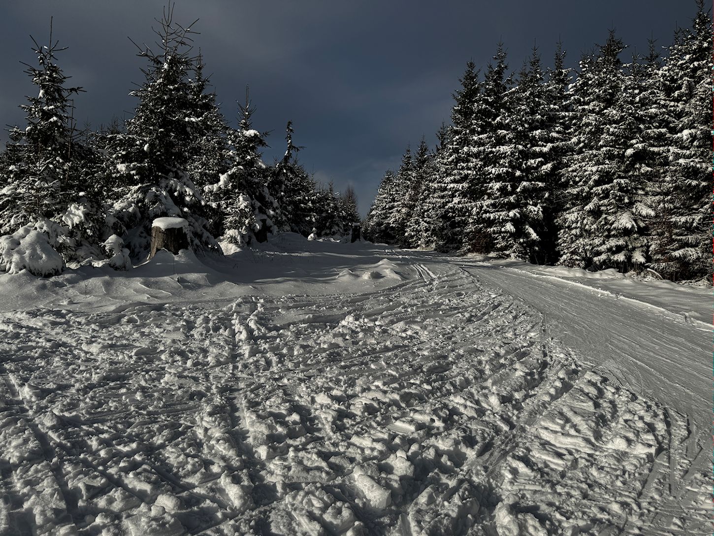 003_Trasa na Čerenku