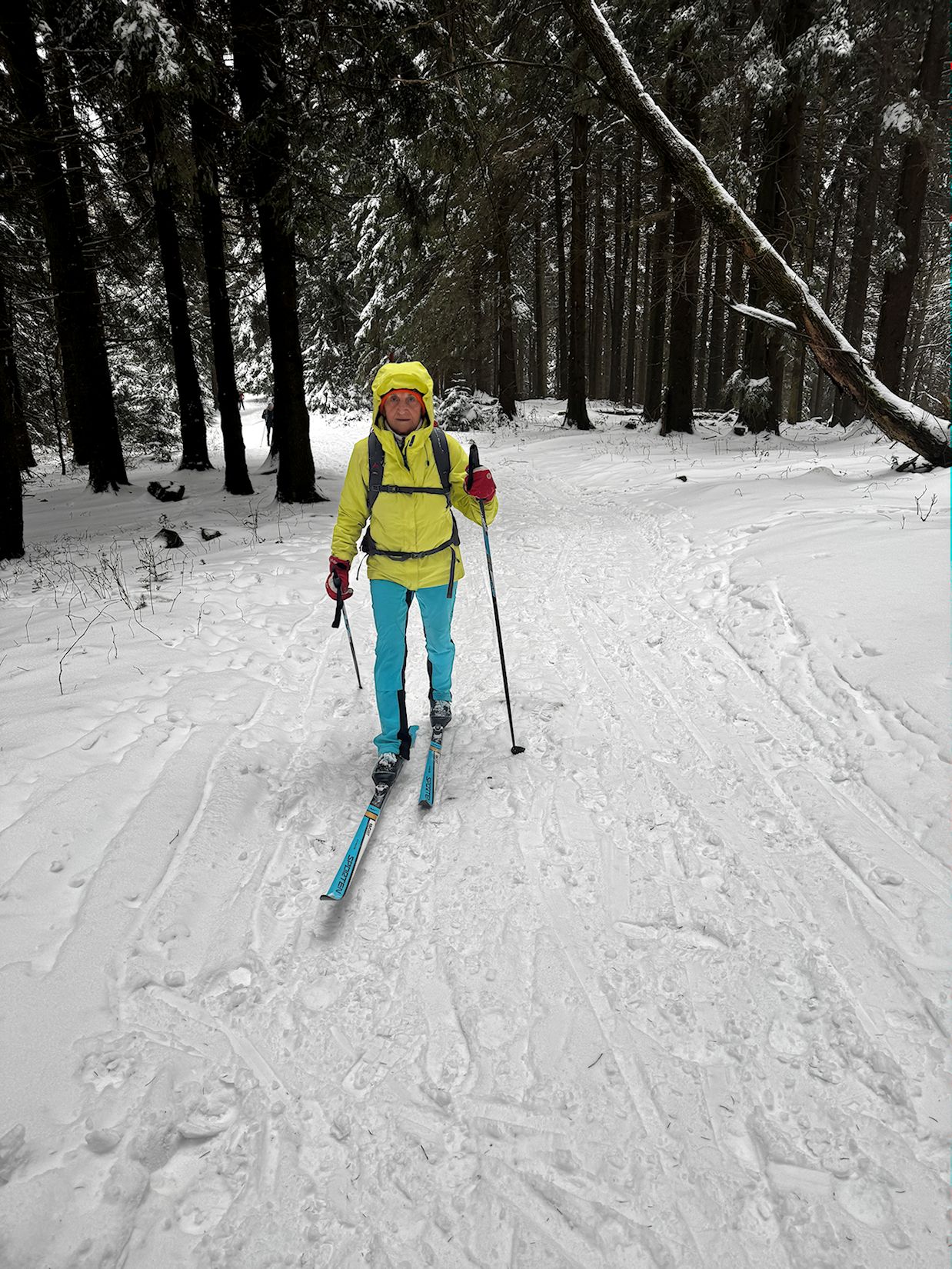 008_Výstup na Stolečný vrch