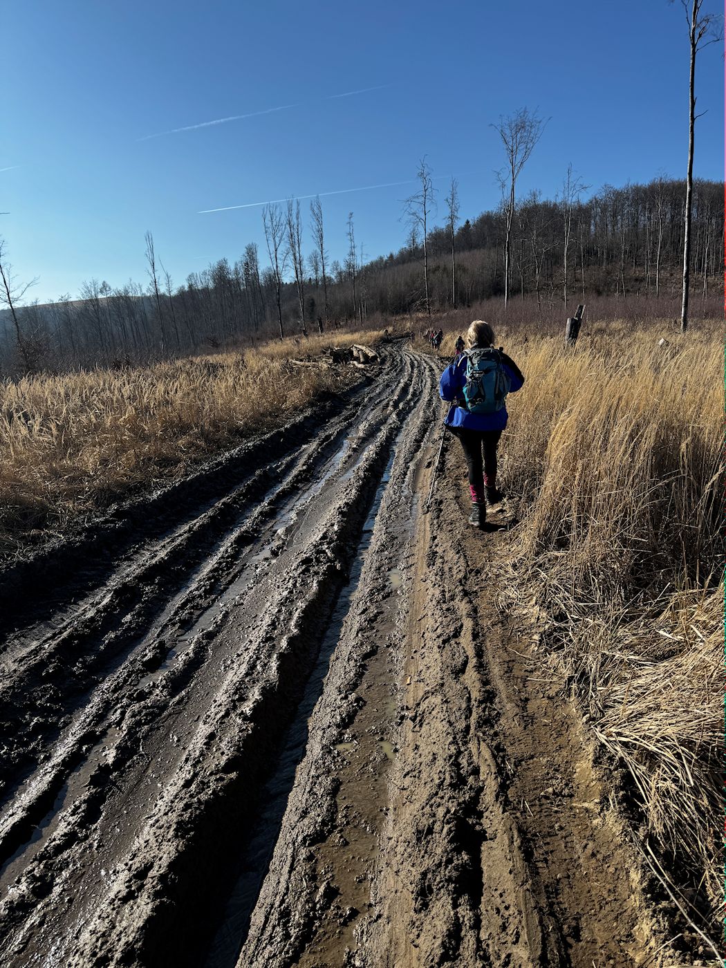 005_Zablatená cesta