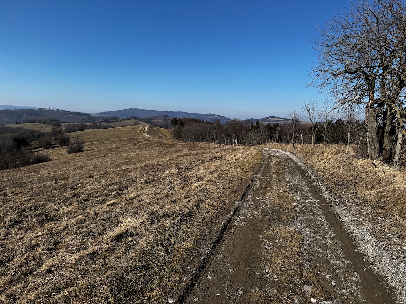 006_Pohľad na hraničný hrebeň