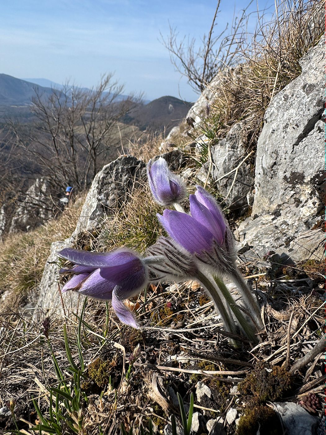 013_ďaľšie Poniklece