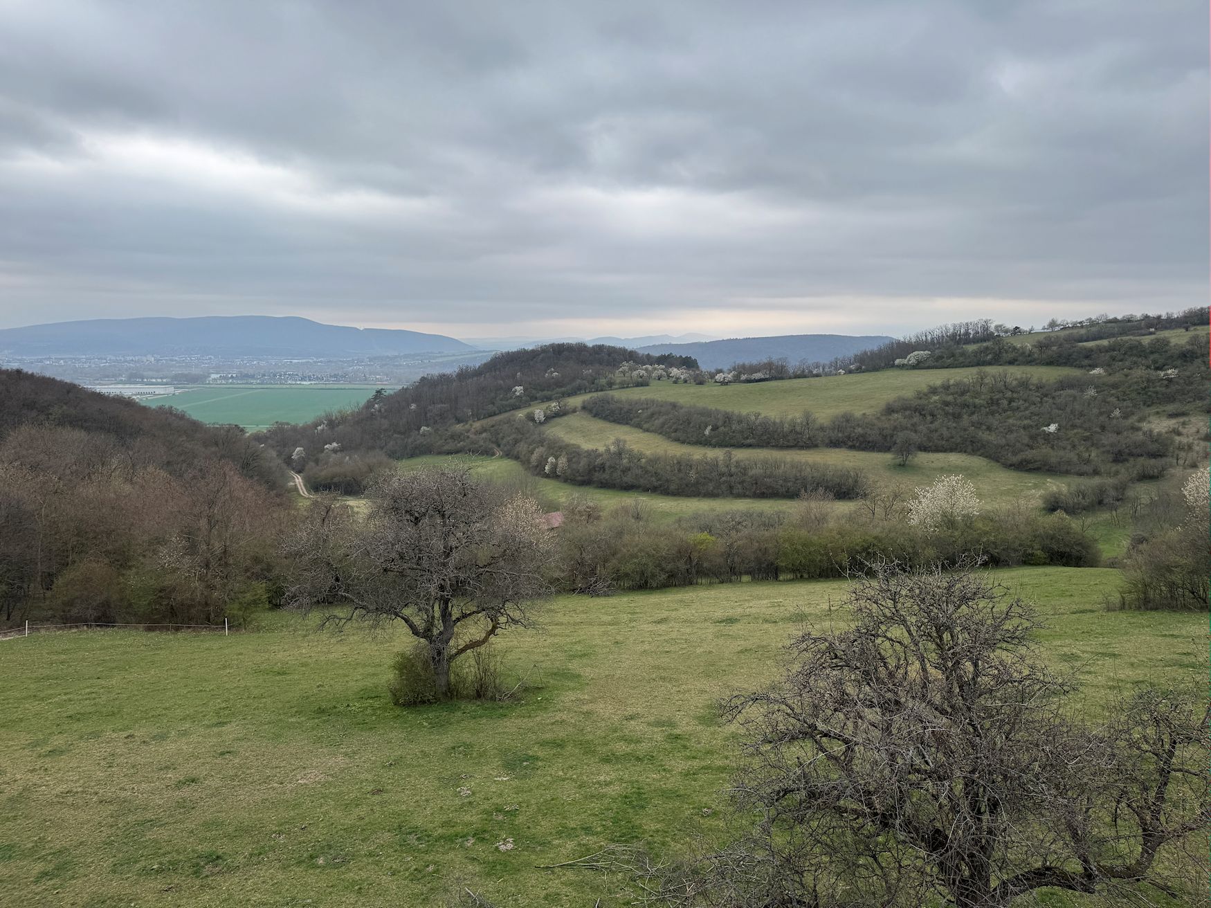 030_Skalice z Rozhľadne