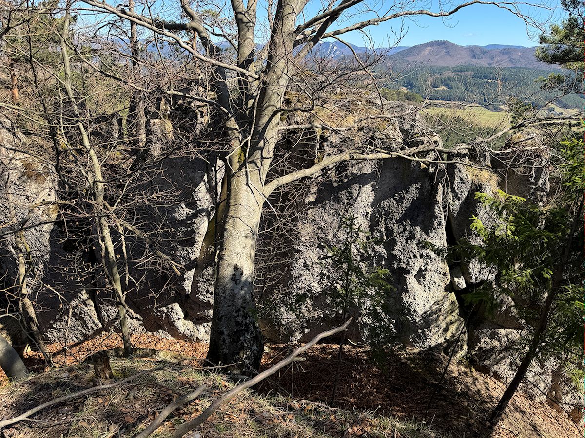 023_stromy a skaly_3