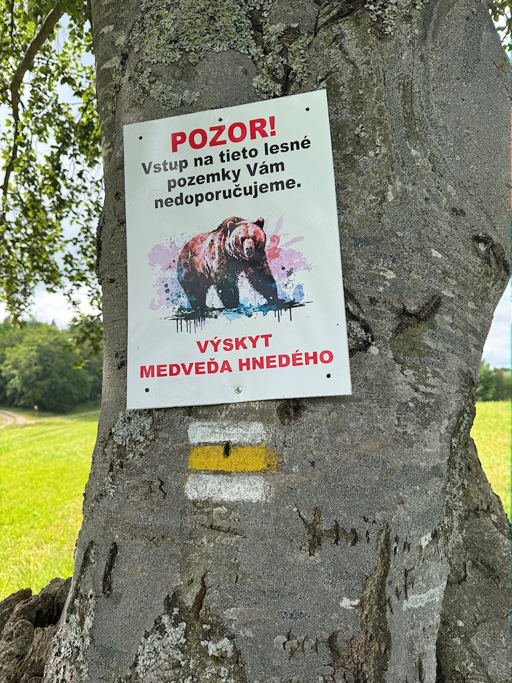 041_IMG_1073_nad sedlom Pohanská sme videli medveďa
