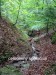IMG_20260719_034746