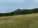 017_Temešská skala z lúky nad Liešťanmi