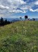 008_pichliač s Rakytovom