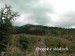 IMG_20250825_182622