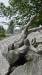IMG-20250904-WA0130