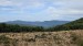 IMG-20250904-WA0112