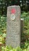 IMG-20250904-WA0105