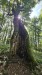 IMG-20250904-WA0104