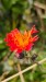IMG-20250904-WA0052
