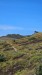 IMG-20250904-WA0039