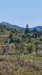 IMG-20250904-WA0028