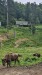 IMG-20250904-WA0019